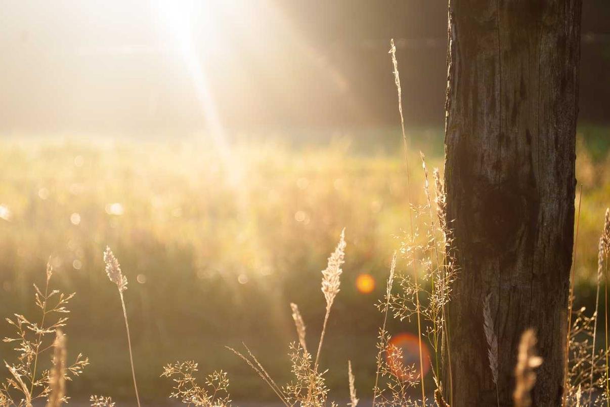 Doloribus eligendi error quam aut est